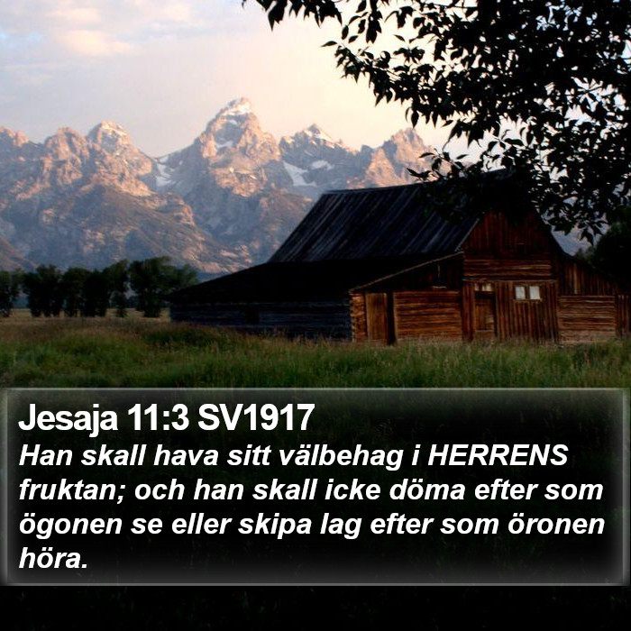 Jesaja 11:3 SV1917 Bible Study