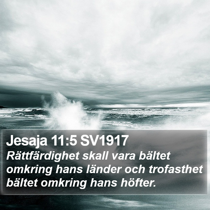 Jesaja 11:5 SV1917 Bible Study