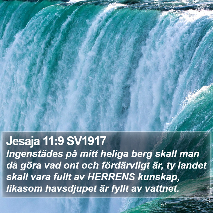 Jesaja 11:9 SV1917 Bible Study