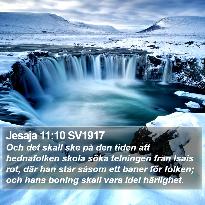 Jesaja 11:10 SV1917 Bible Study