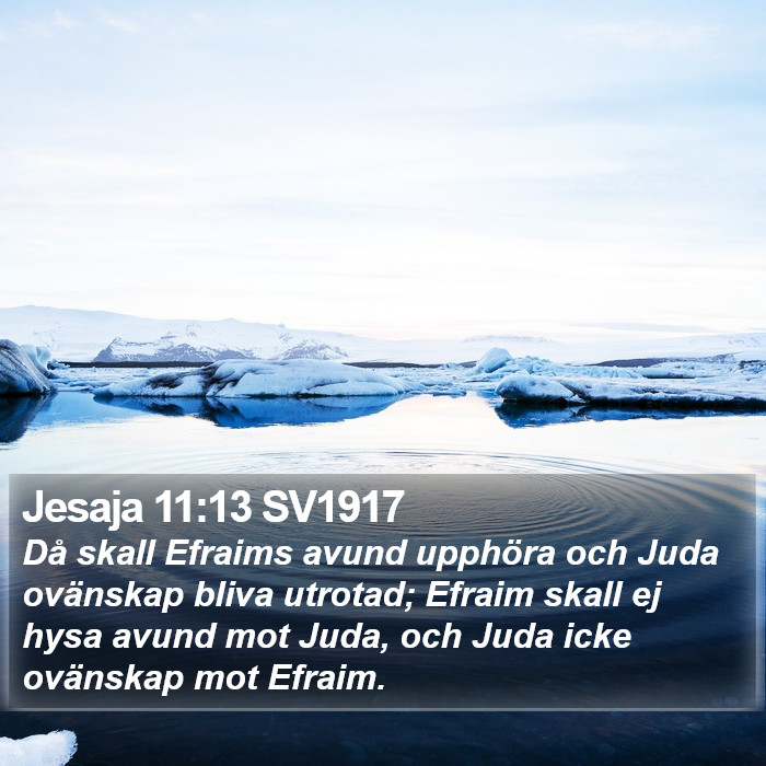 Jesaja 11:13 SV1917 Bible Study