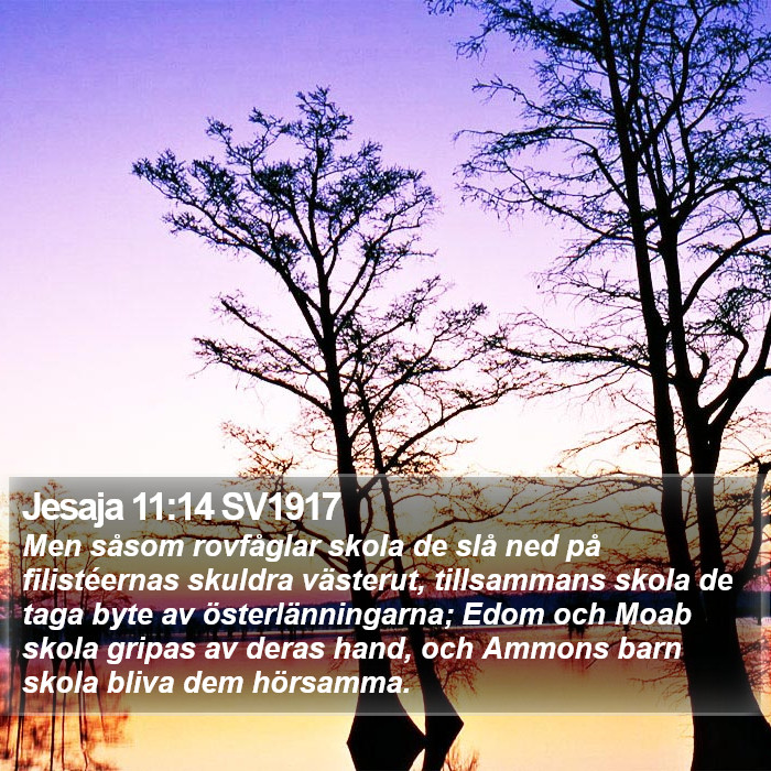 Jesaja 11:14 SV1917 Bible Study