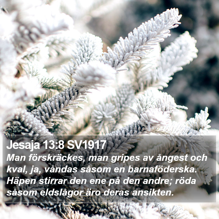 Jesaja 13:8 SV1917 Bible Study