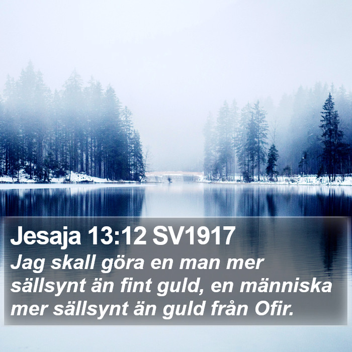 Jesaja 13:12 SV1917 Bible Study