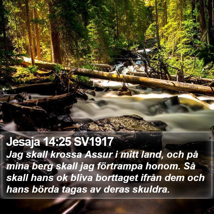 Jesaja 14:25 SV1917 Bible Study