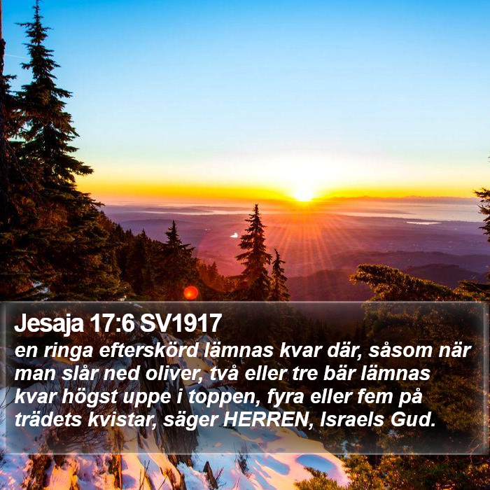 Jesaja 17:6 SV1917 Bible Study