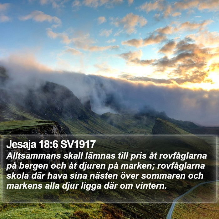 Jesaja 18:6 SV1917 Bible Study