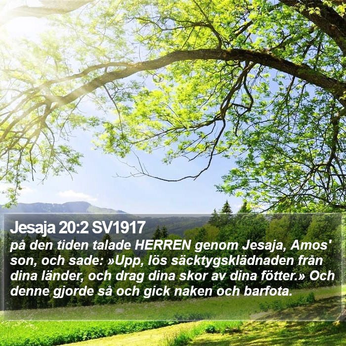 Jesaja 20:2 SV1917 Bible Study