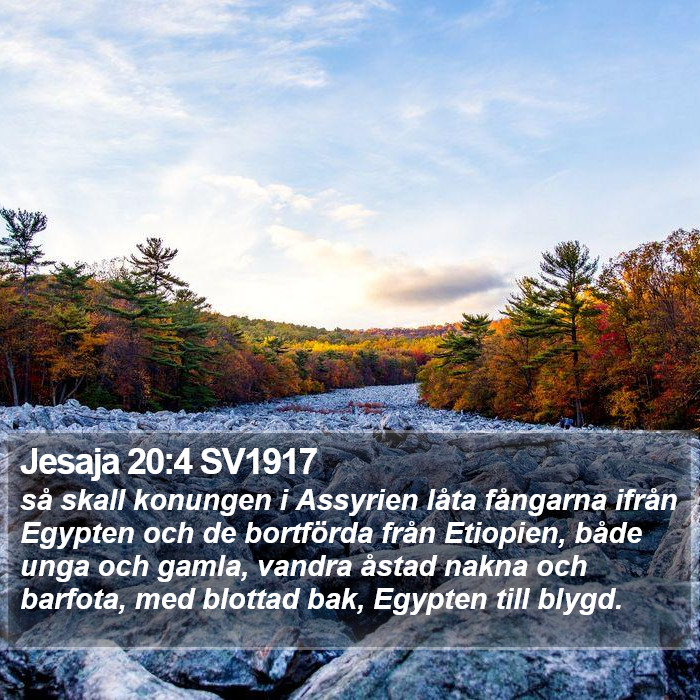 Jesaja 20:4 SV1917 Bible Study