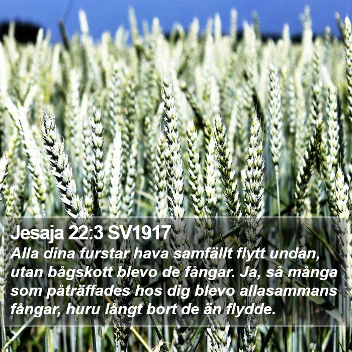 Jesaja 22:3 SV1917 Bible Study