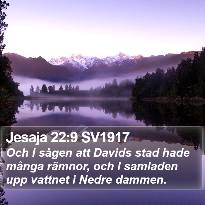 Jesaja 22:9 SV1917 Bible Study
