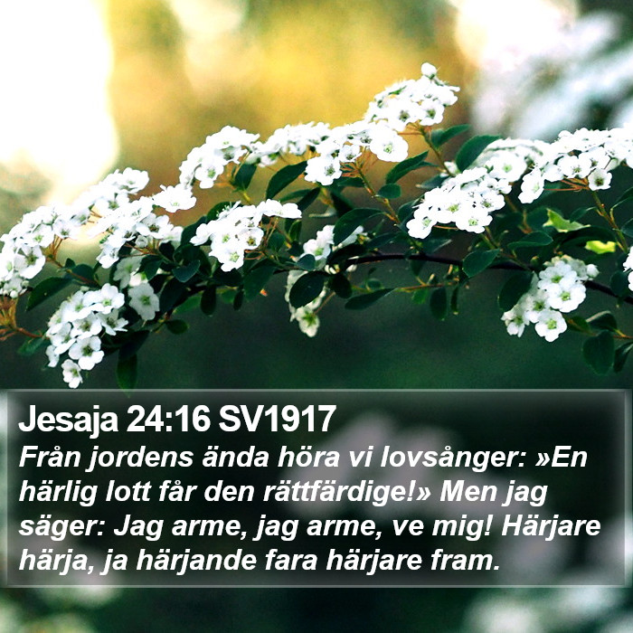 Jesaja 24:16 SV1917 Bible Study