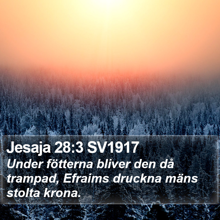 Jesaja 28:3 SV1917 Bible Study