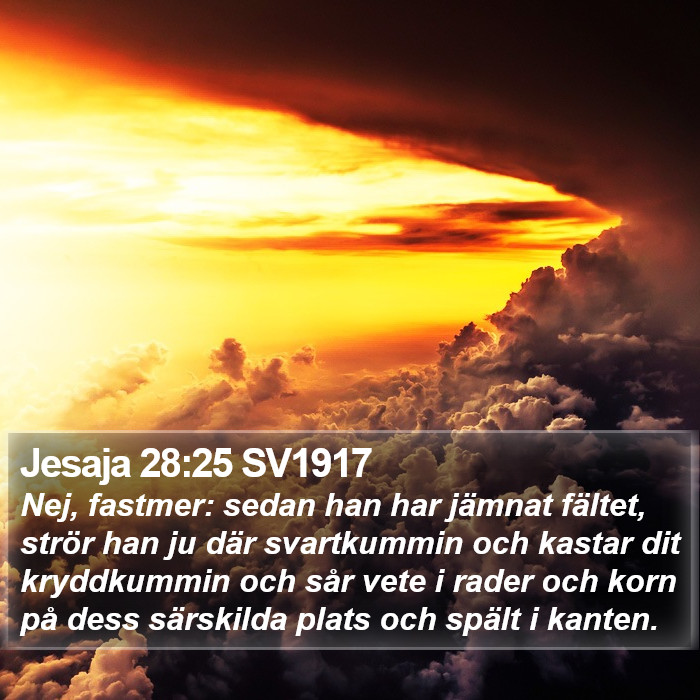 Jesaja 28:25 SV1917 Bible Study