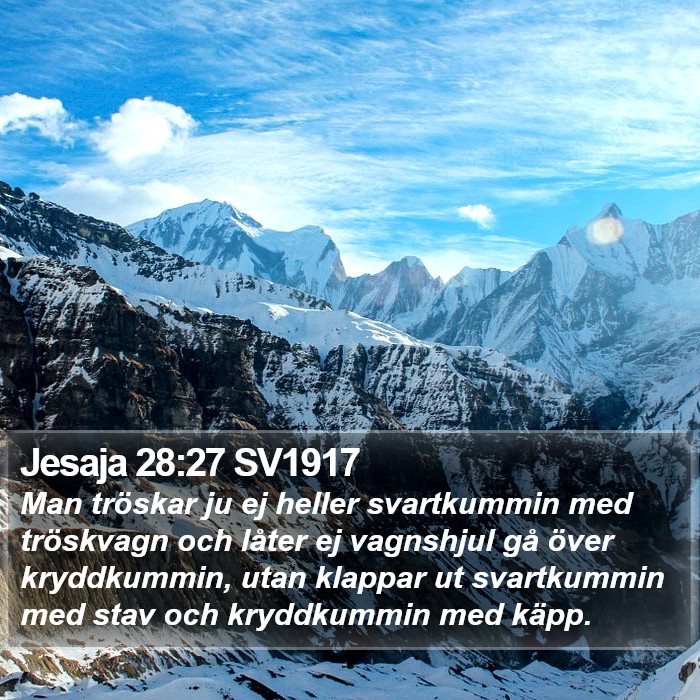 Jesaja 28:27 SV1917 Bible Study