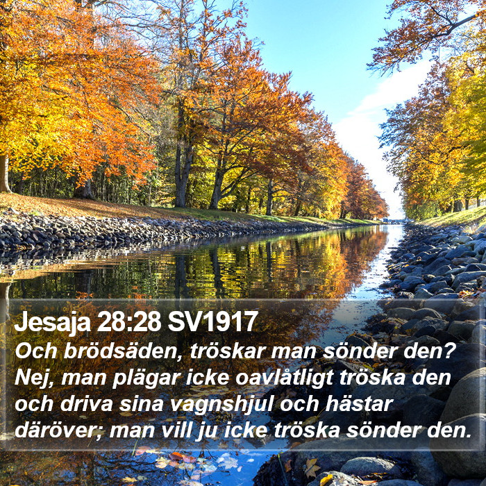 Jesaja 28:28 SV1917 Bible Study