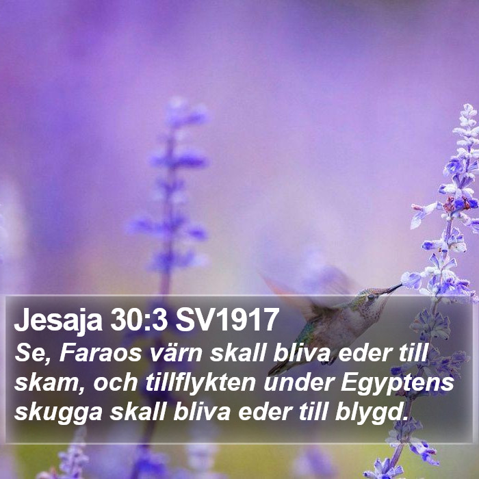 Jesaja 30:3 SV1917 Bible Study