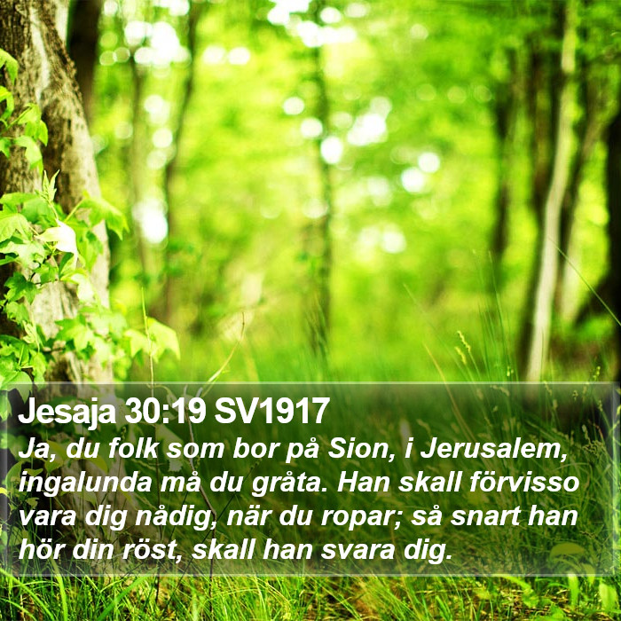 Jesaja 30:19 SV1917 Bible Study