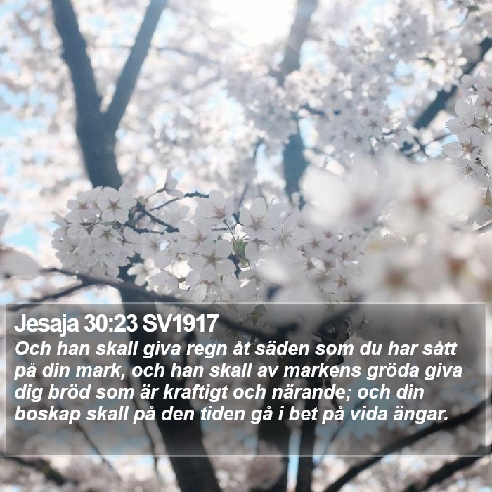 Jesaja 30:23 SV1917 Bible Study