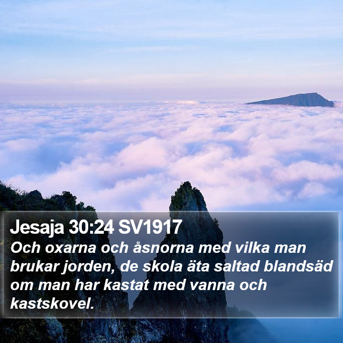 Jesaja 30:24 SV1917 Bible Study