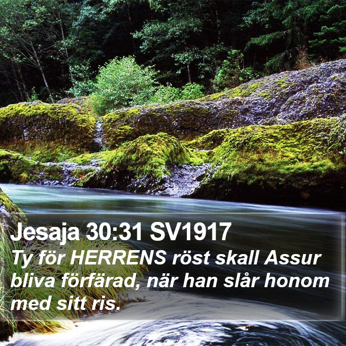 Jesaja 30:31 SV1917 Bible Study