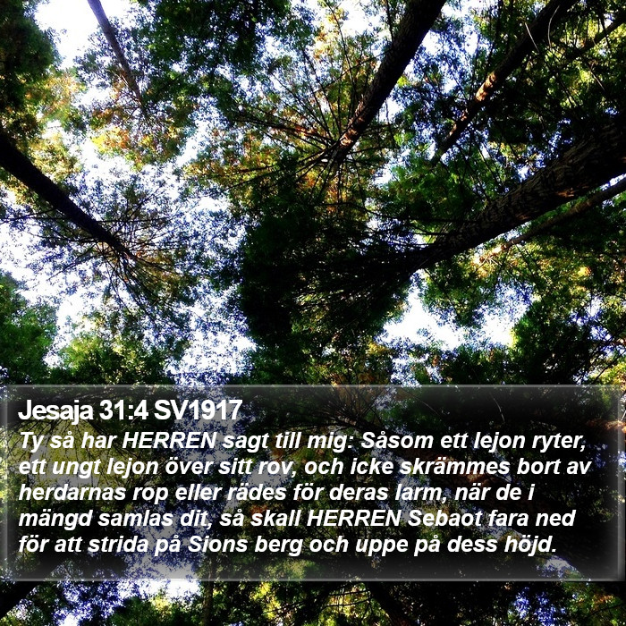 Jesaja 31:4 SV1917 Bible Study