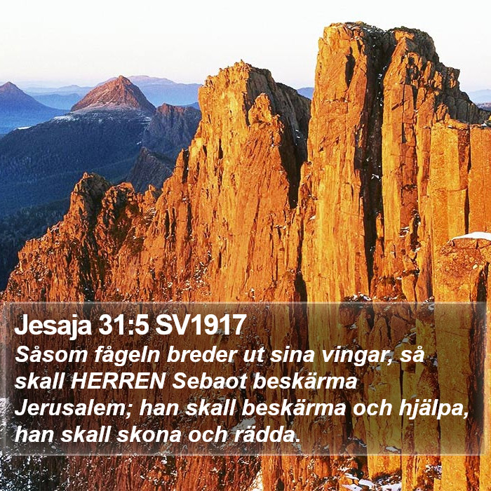 Jesaja 31:5 SV1917 Bible Study