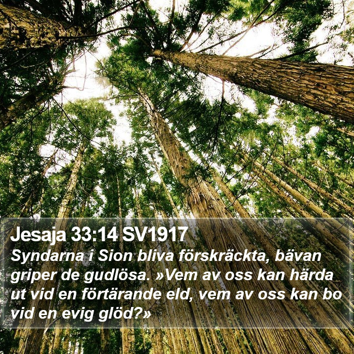 Jesaja 33:14 SV1917 Bible Study