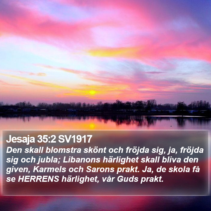 Jesaja 35:2 SV1917 Bible Study