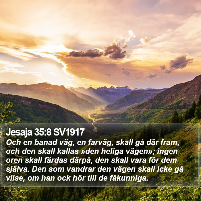 Jesaja 35:8 SV1917 Bible Study