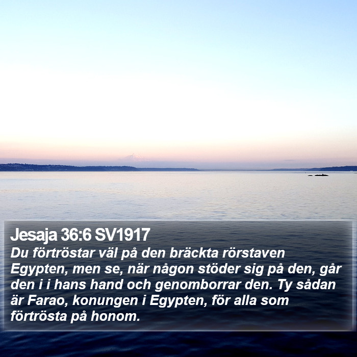 Jesaja 36:6 SV1917 Bible Study