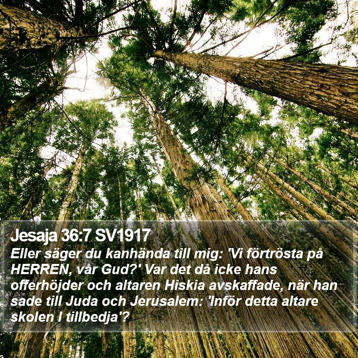 Jesaja 36:7 SV1917 Bible Study