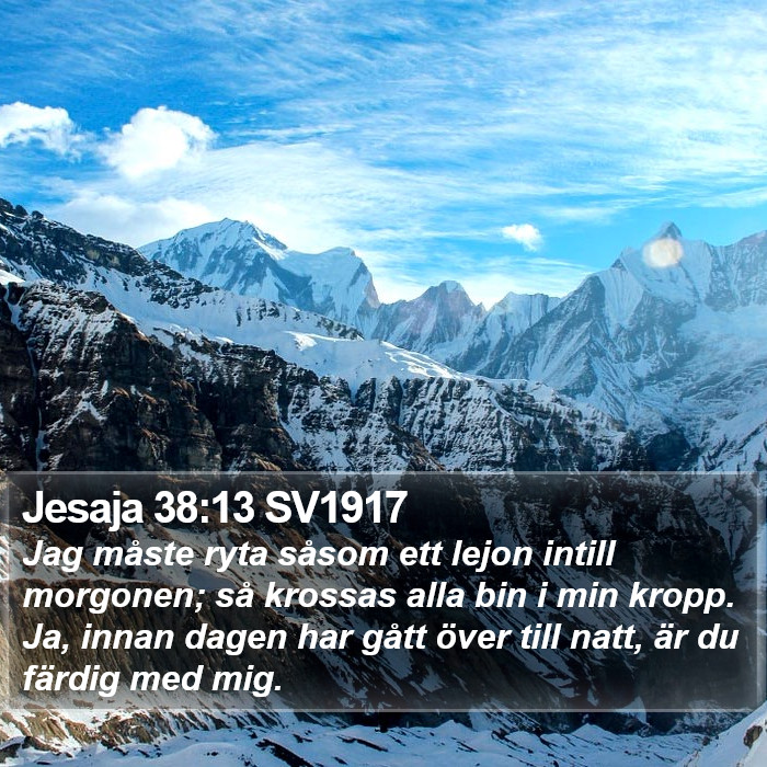 Jesaja 38:13 SV1917 Bible Study