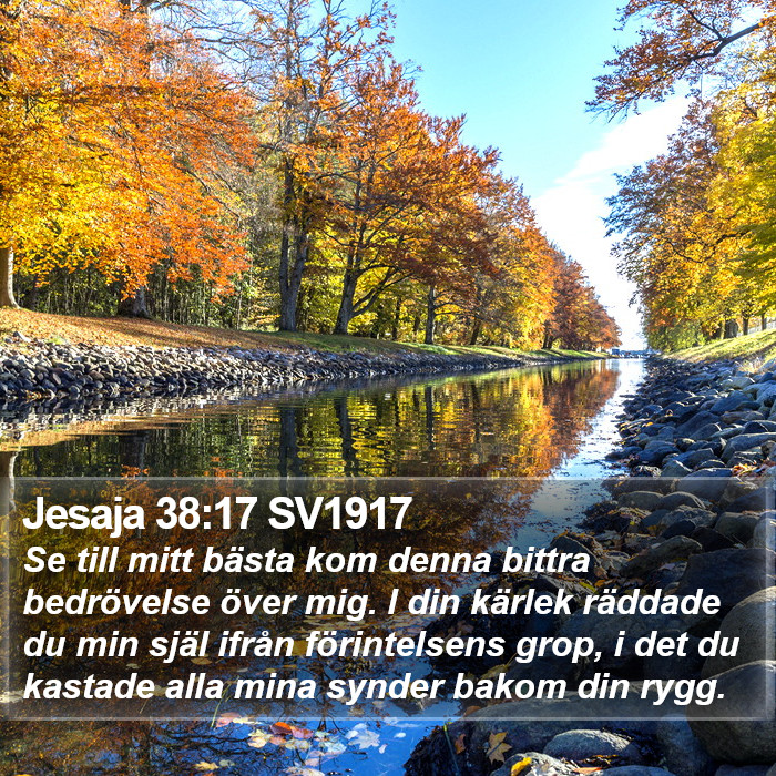 Jesaja 38:17 SV1917 Bible Study