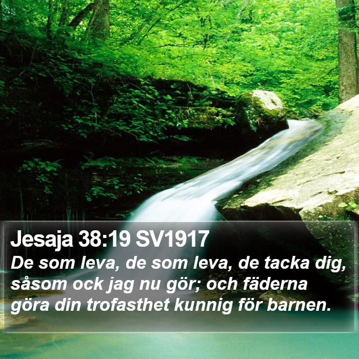 Jesaja 38:19 SV1917 Bible Study