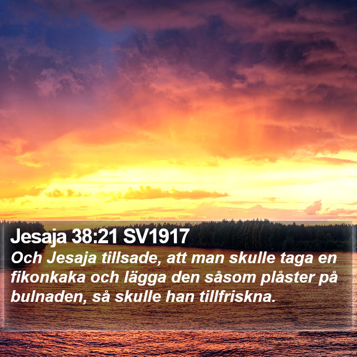 Jesaja 38:21 SV1917 Bible Study