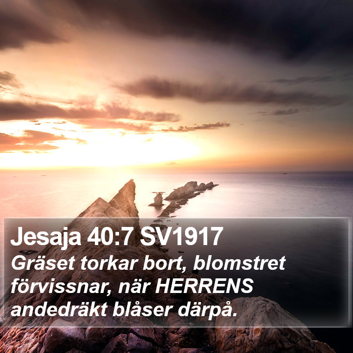 Jesaja 40:7 SV1917 Bible Study