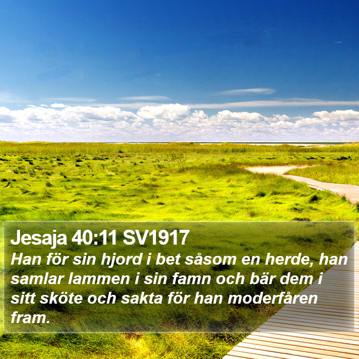 Jesaja 40:11 SV1917 Bible Study