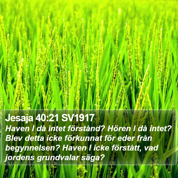 Jesaja 40:21 SV1917 Bible Study