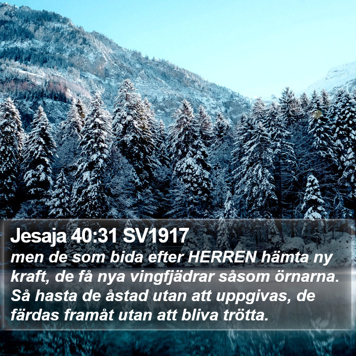 Jesaja 40:31 SV1917 Bible Study