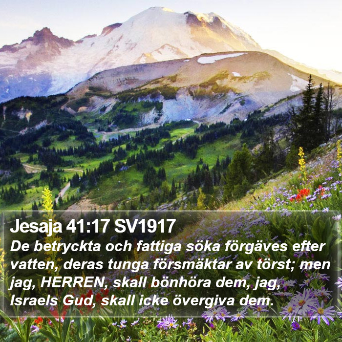 Jesaja 41:17 SV1917 Bible Study