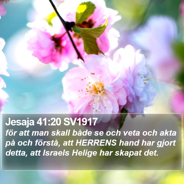 Jesaja 41:20 SV1917 Bible Study