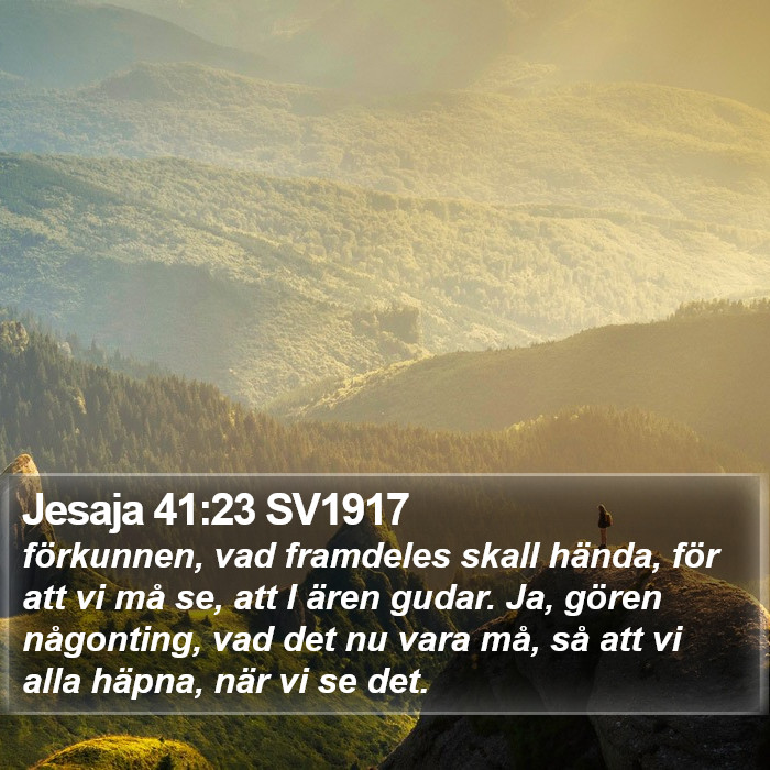 Jesaja 41:23 SV1917 Bible Study