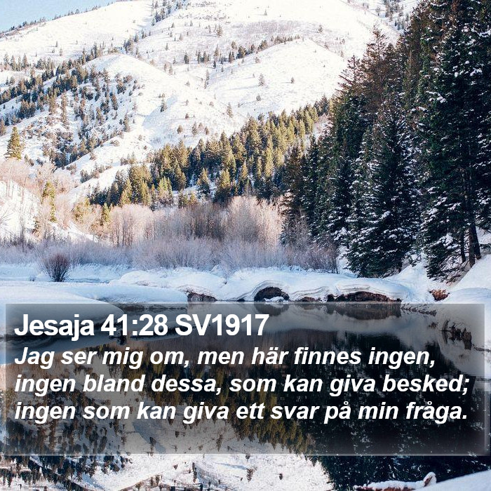 Jesaja 41:28 SV1917 Bible Study