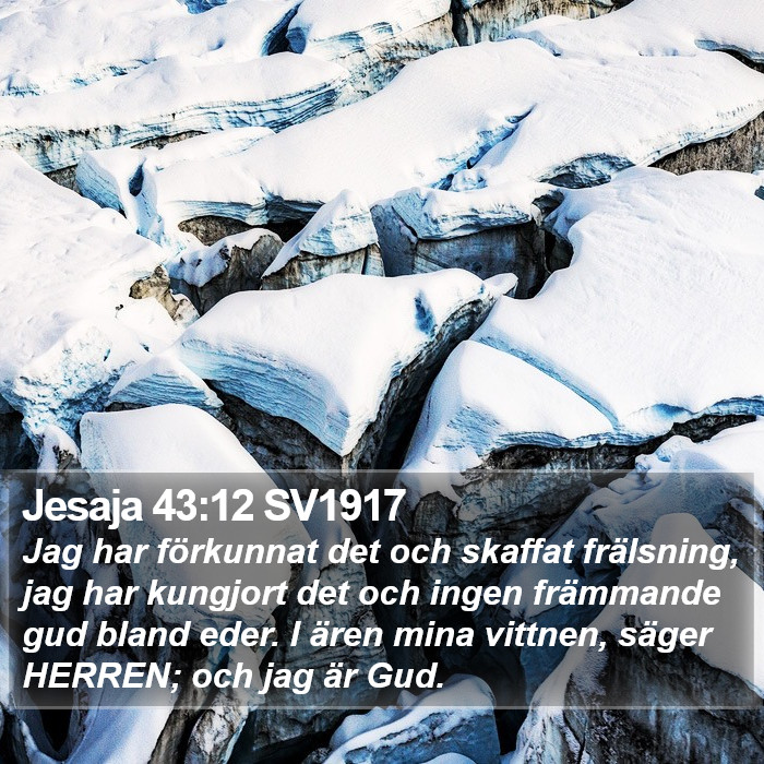 Jesaja 43:12 SV1917 Bible Study