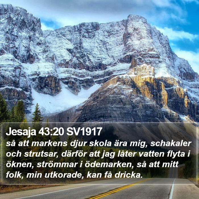 Jesaja 43:20 SV1917 Bible Study