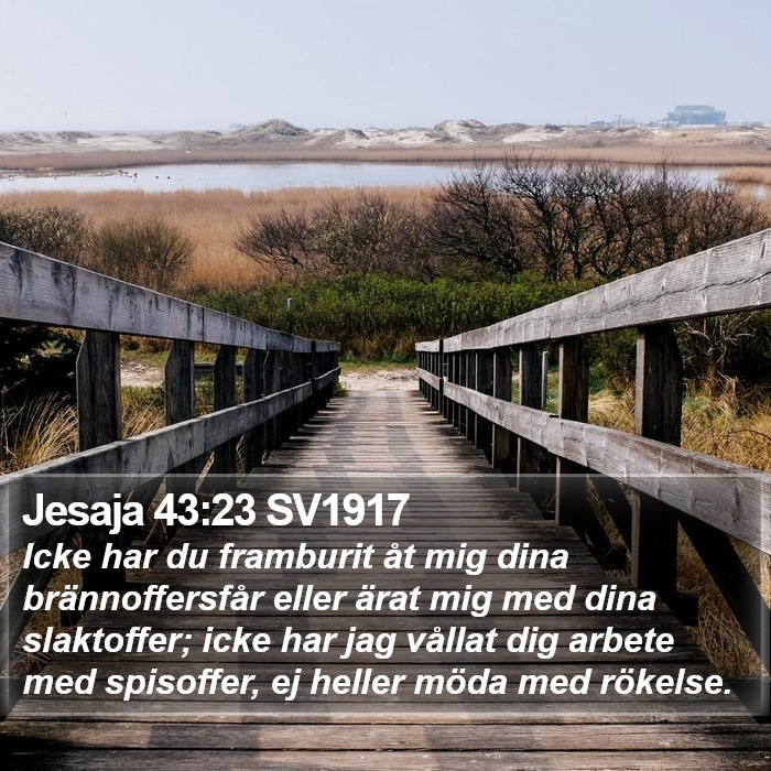 Jesaja 43:23 SV1917 Bible Study