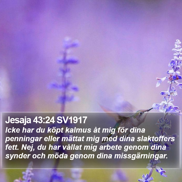 Jesaja 43:24 SV1917 Bible Study