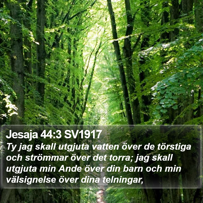 Jesaja 44:3 SV1917 Bible Study