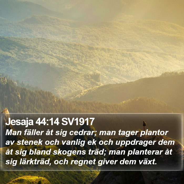 Jesaja 44:14 SV1917 Bible Study